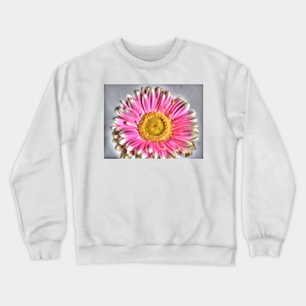 Pink and white gerbera HDR Crewneck Sweatshirt by goldyart